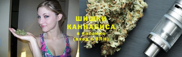 mdpv Ельня