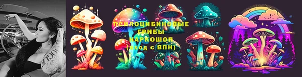 mdpv Ельня