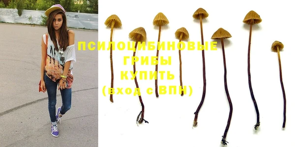сатива Елабуга