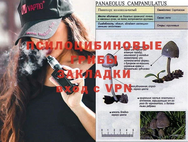 mdpv Ельня