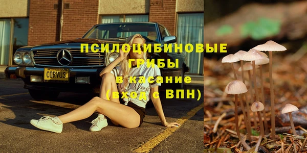сатива Елабуга