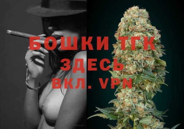 mdpv Ельня