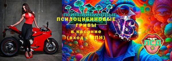 mdpv Ельня