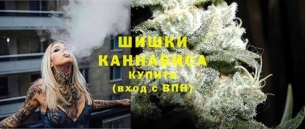 mdpv Ельня