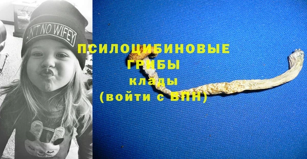 сатива Елабуга