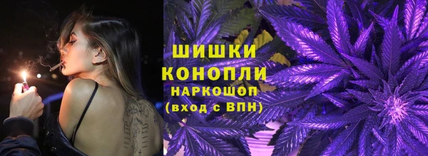 сатива Елабуга