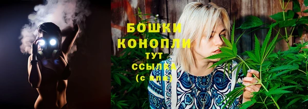 сатива Елабуга