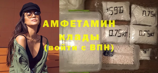 сатива Елабуга