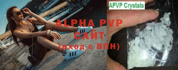 сатива Елабуга
