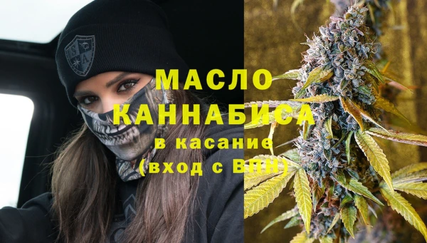 сатива Елабуга