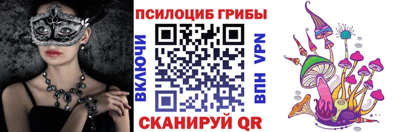 Псилоцибиновые грибы MAGIC MUSHROOMS  блэк спрут ONION  Рошаль  сколько стоит 