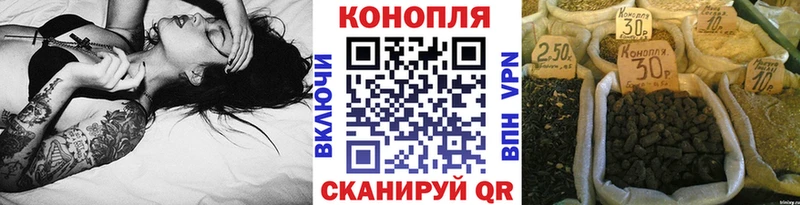 Бошки марихуана VHQ  где можно купить   Рошаль 